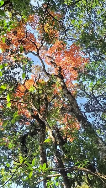 Hiking Northeast Vietnam Tour 7 Days